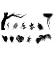 black jungle plants silhouettes set vector image