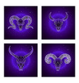 skulls wild buffalo bull and rams vector image vector image