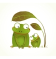 two frogs mother and baby childish animal cartoon vector image vector image