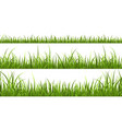 green grass horizontal borders lawn shape meadow vector image vector image
