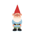 colorful cute garden gnome vector image
