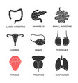 human internal organs glyph icons set vector image
