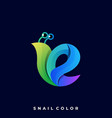 snail template vector image