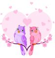 love birds vector image