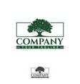 oak tree silhouette for element design vector image vector image