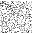 grunge craquelure cracked texture white and black vector image vector image