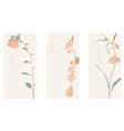 floral pattern with art natural banner abstract vector image