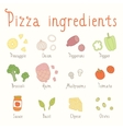 hand drawn ingredients vector image
