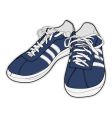 sport shoes vector image vector image