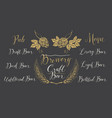 set of design elements and inscriptions for beer vector image