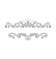 elegant luxury vintage silver floral border vector image