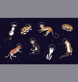 cute cats in space astronaut animal the sky vector image