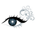 aperature iris vector image vector image