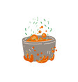 cartoon saucepan on gas vector image