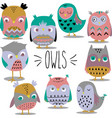 hand sketch owls colored vector image