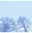 snowy winter forest with trees vector image