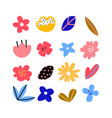 floral elements set vector image vector image