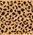 leopard skin seamless pattern abstract animal fur vector image