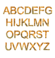 orange font vector image
