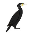 phalacrocorax carbo - great cormorant - side view vector image vector image