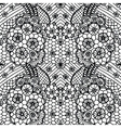 lace seamless pattern with flowers vector image vector image