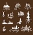 forest badge tree collection vector image