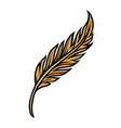 gold feather colorful concept vector image vector image
