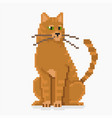 pixel red cat face high detailed isolated vector image