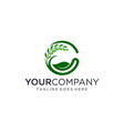 rice or wheat agriculture logo design concept vector image