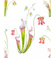 watercolor tropical pattern vector image
