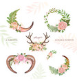 horn and cow decoration vector image vector image