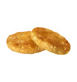 pair of cookies composition vector image