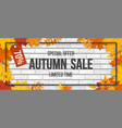 autumn sale fallen maple leaves frame brick vector image vector image