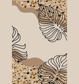tropical leaves boho style background with space vector image