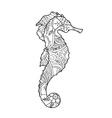 hand drawn sketch of seahorse isolated on white vector image