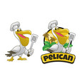 pelican cartoon chef holding spatula vector image vector image