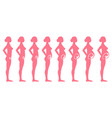 pregnancy stages side view vector image