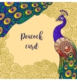 peacock greeting card design vector image