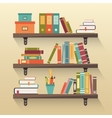 shelves with colorful books vector image