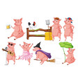 set of different farm pigs in cartoon style vector image