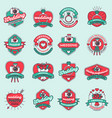 wedding day photography agency fashion badges vector image vector image