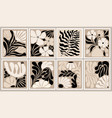set of abstract floral posters wall art vector image