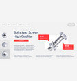 bolts and screws high quality website page vector image