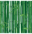 bamboo seamless vector image vector image