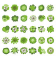 trees collection map top view plants park garden vector image
