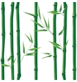 bamboo seamless vector image vector image