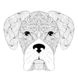 head of dog on white background vector image