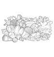 background with seashells vector image
