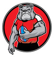 bulldog as rugby football player vector image vector image