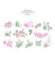 wedding invitation floral set fuchsia rose vector image vector image